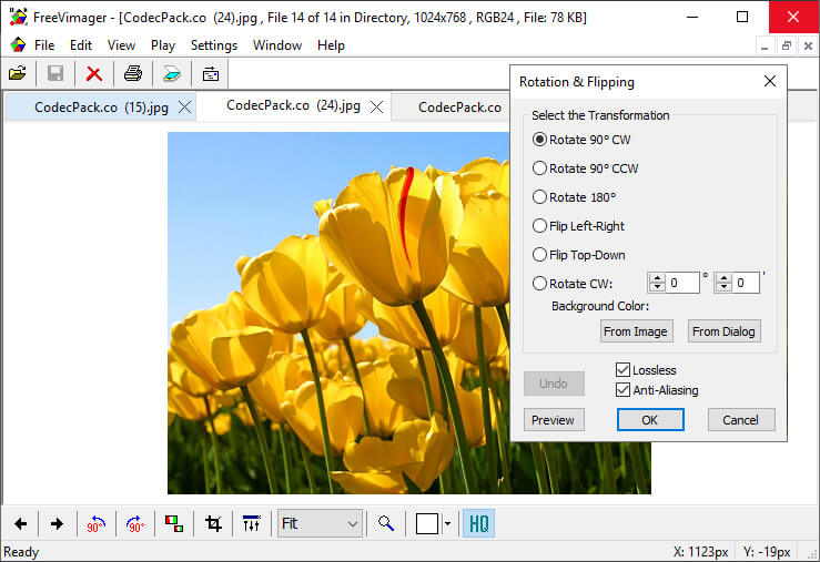 FreeVimager Screenshot