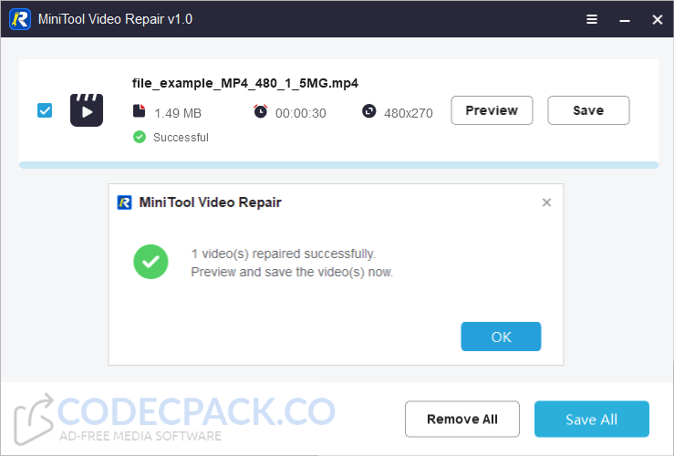 MiniTool Video Repair Screenshot